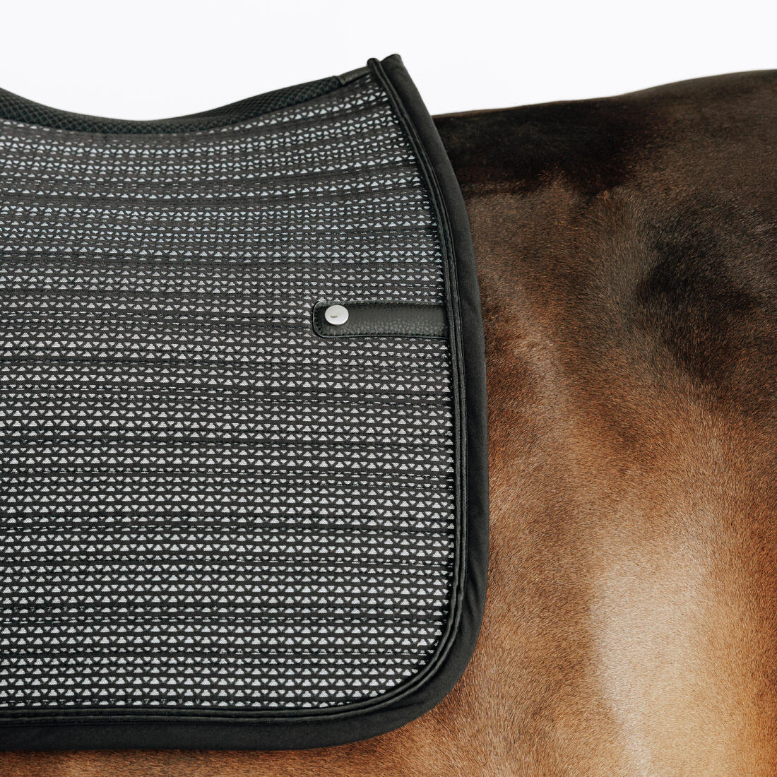 Tapis de selle équitation cheval et poney - 900 pimp noir