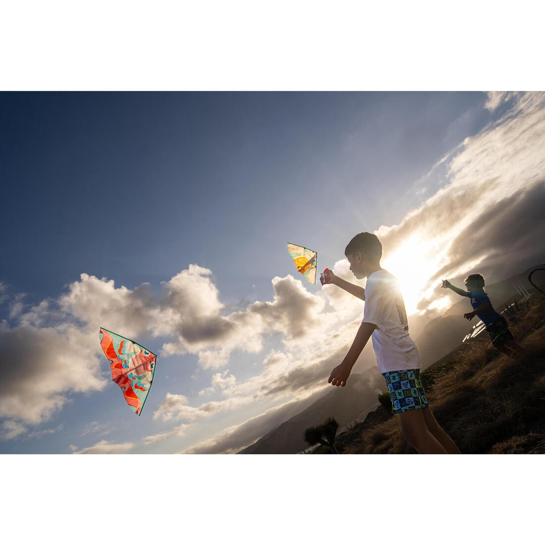 Cerf-volant statique Enfant - MFK 100 Perroquet