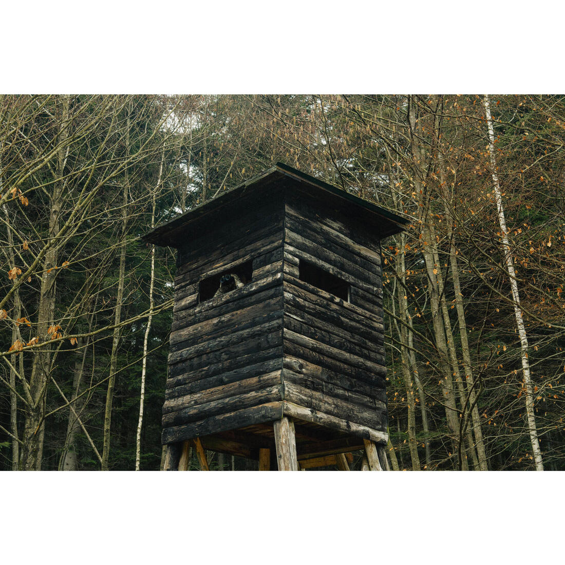 Jumelles télémétriques chasse 10X42 LRF 1000M