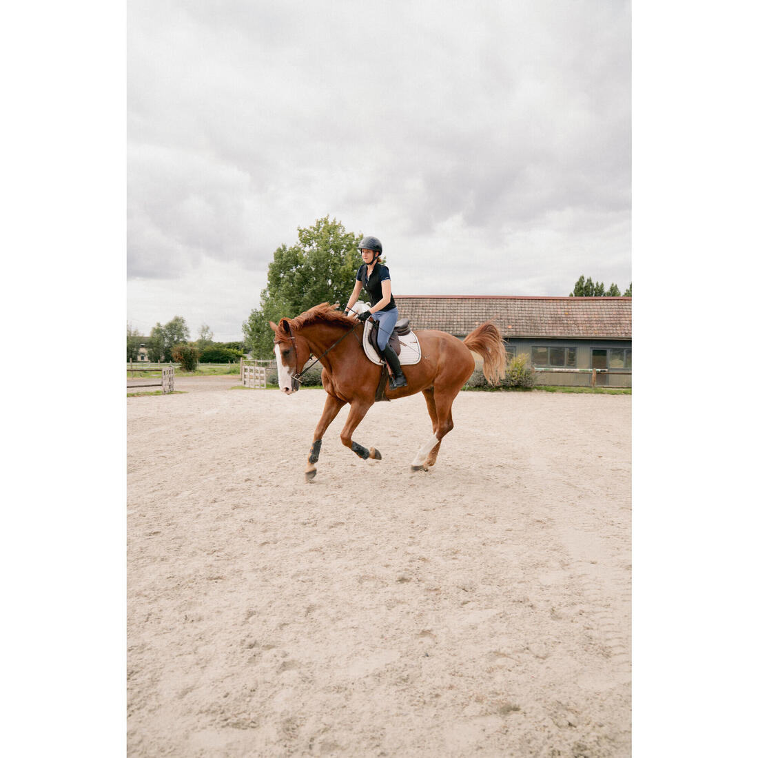 Dorsale d'équitation Souple 500 Adulte Noir D3O®