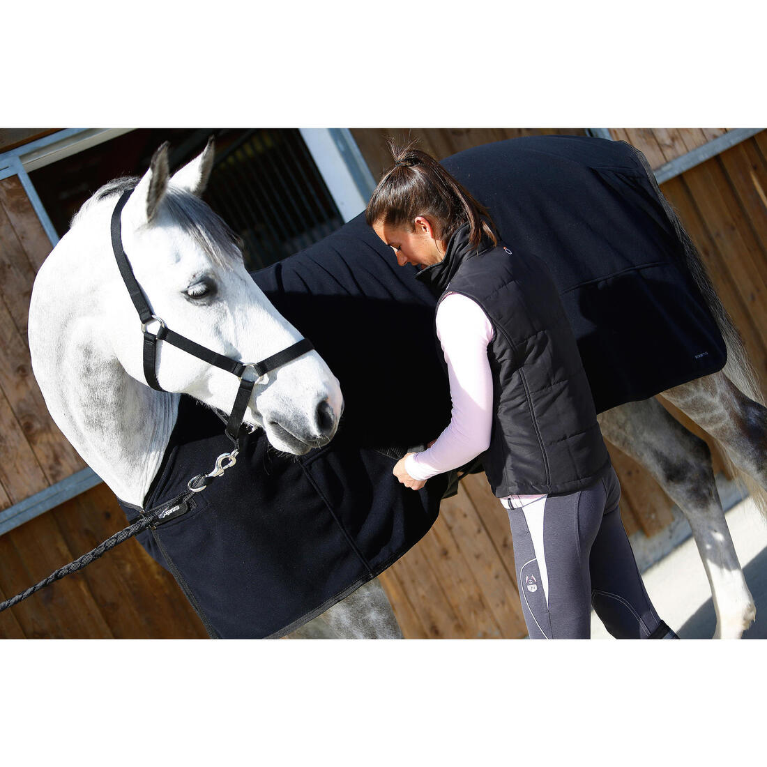 Licol équitation cheval et poney SCHOOLING
