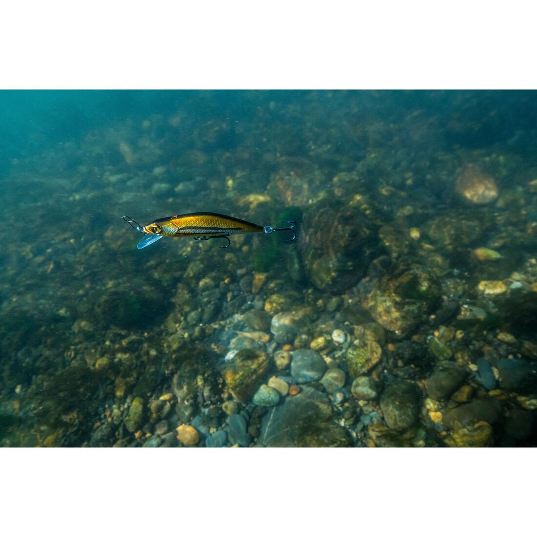POISSON NAGEUR TRUITE MINNOW WXM MNWFS 70 US BROWN YAMAME