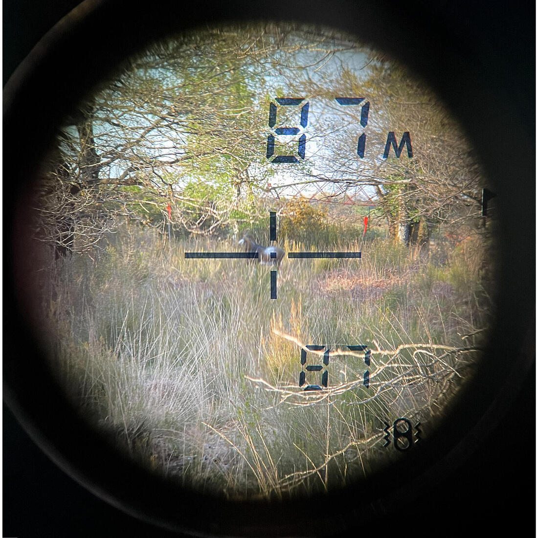 Télémètre laser Chasse 800 mètres