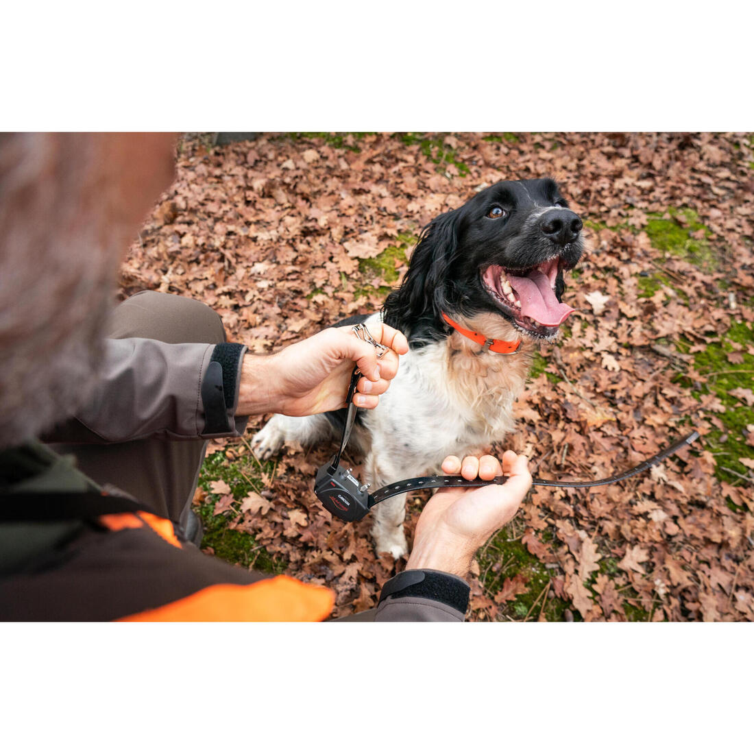 Pack collier + télécommande de dressage pour chien Num'axes Canicom 300