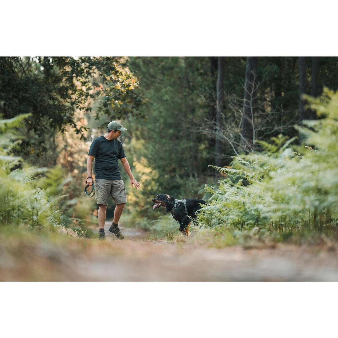 BERMUDA CARGO 500 CAMO WOODLAND