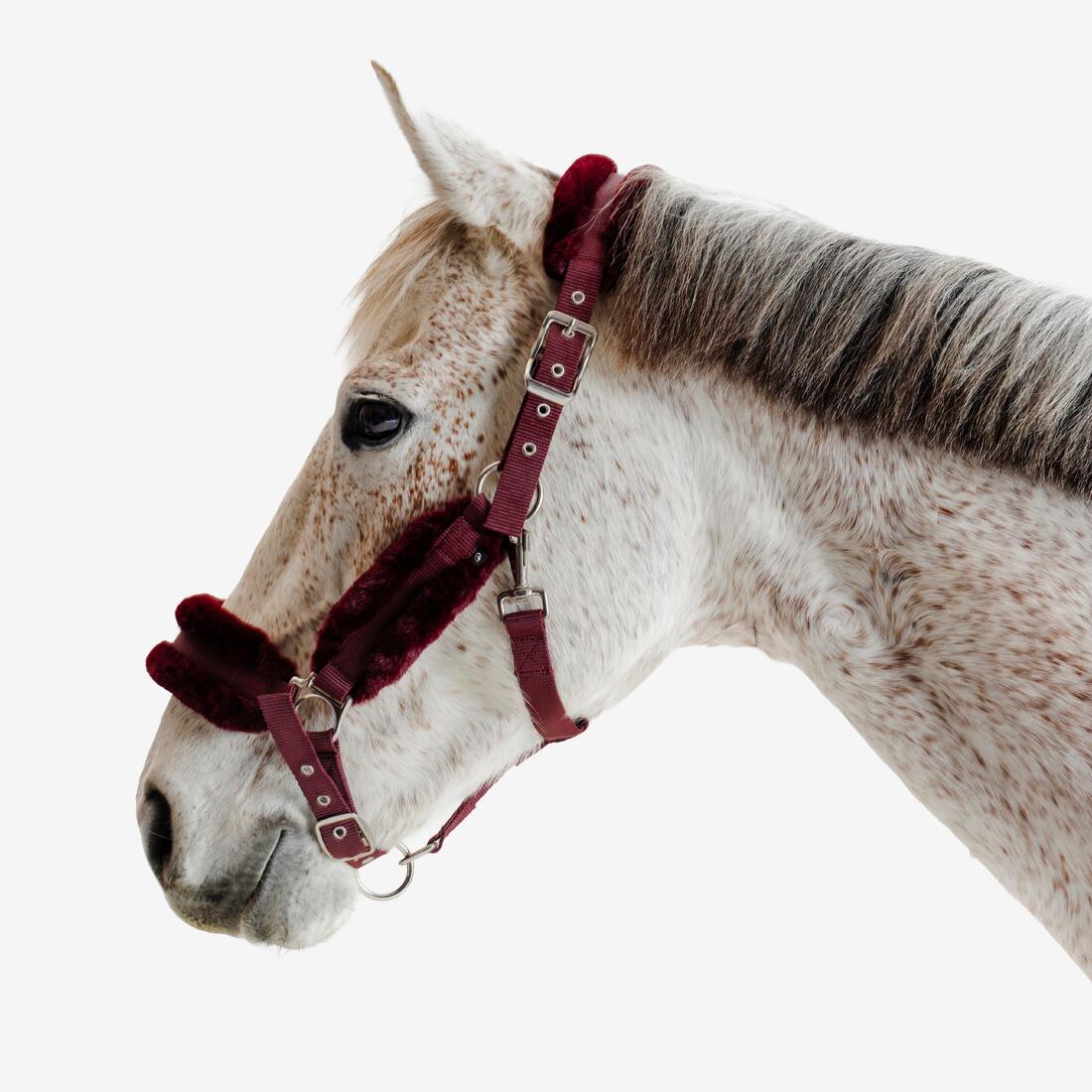 Licol équitation Poney - Confort Bleu noir / Rose cardinal