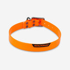 orange fluo