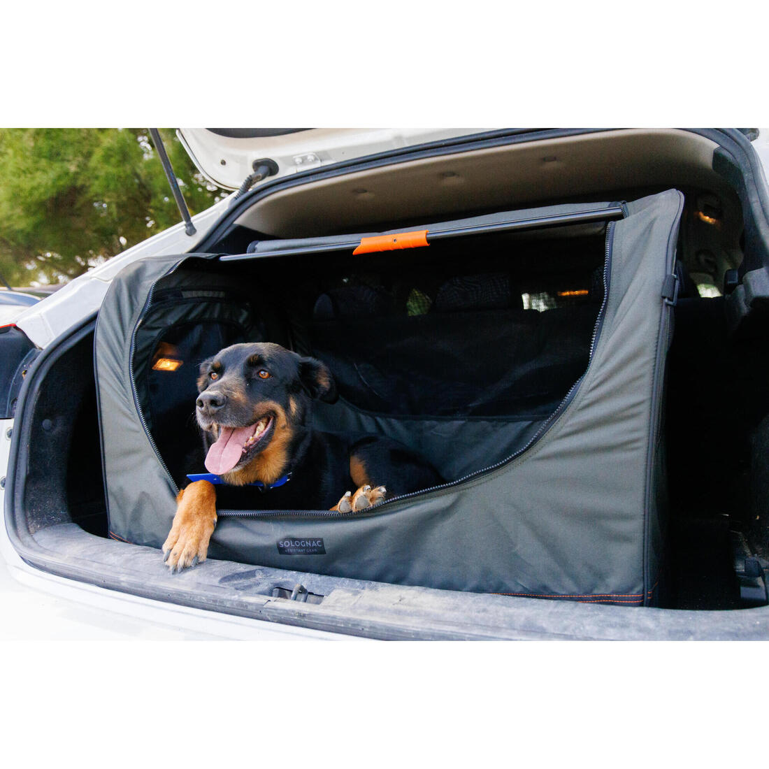 Caisse de transport pliable pour 1 chien grise