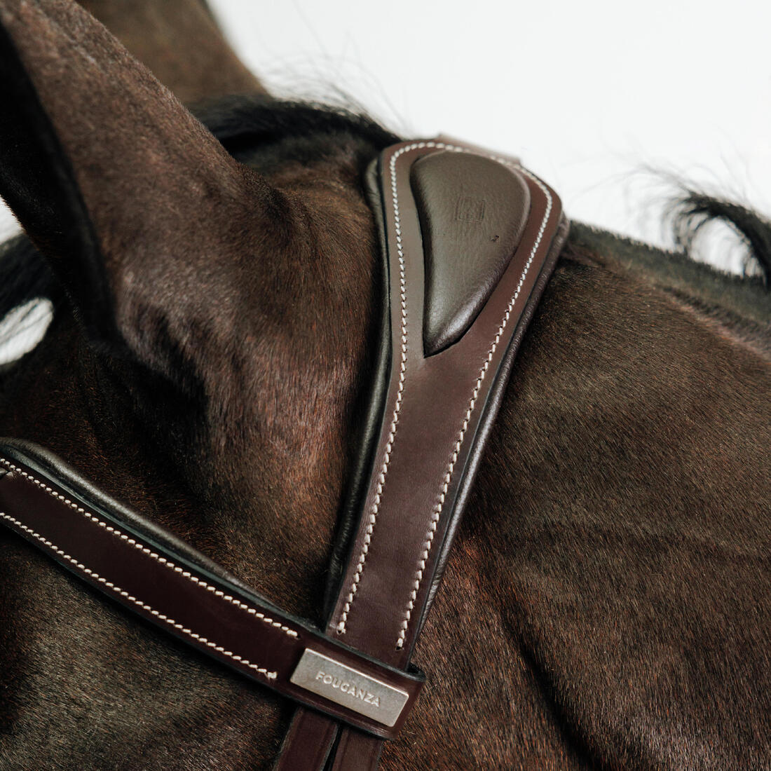 Filet équitation cuir muserolle française Cheval et Poney - 900