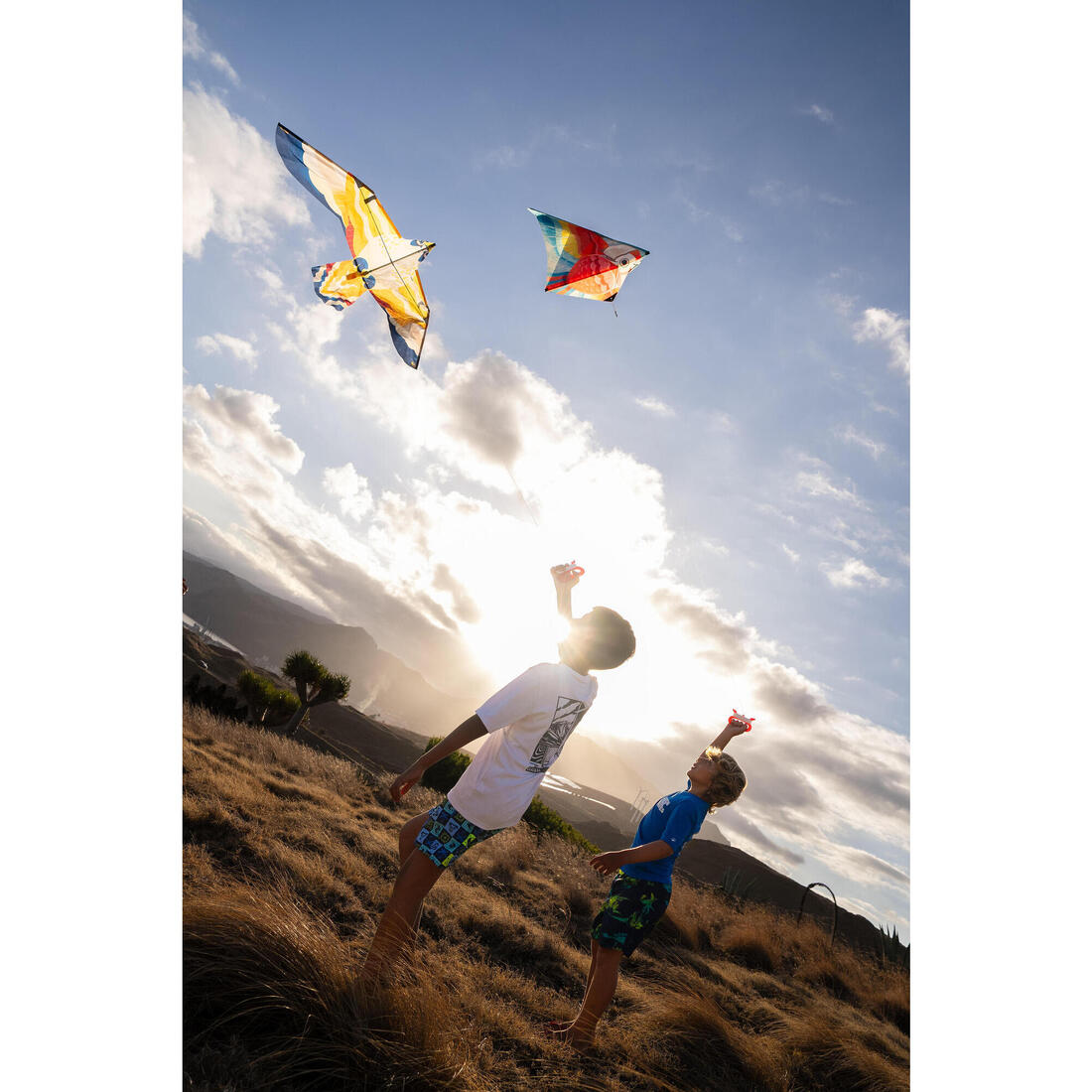 Cerf-volant statique Enfant  - MFK150 Oiseau