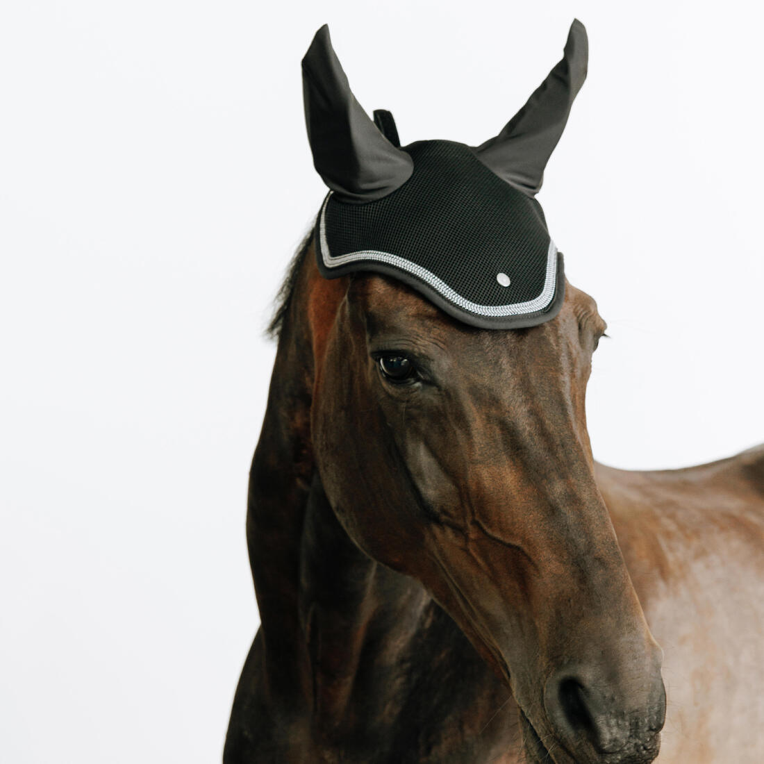 Bonnet équitation cheval - riding noir