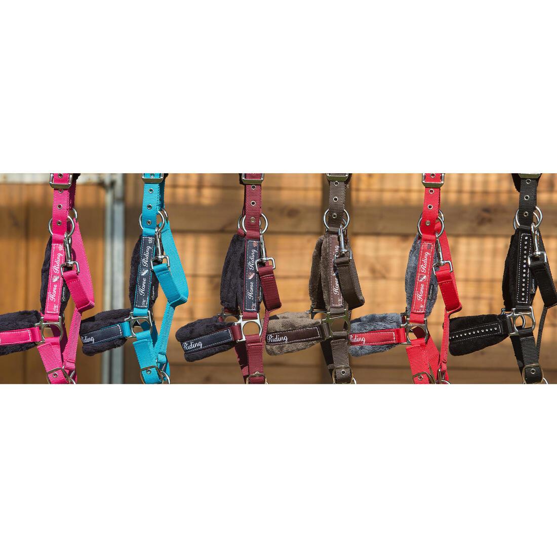Pack licol + longe équitation cheval et poney WINNER