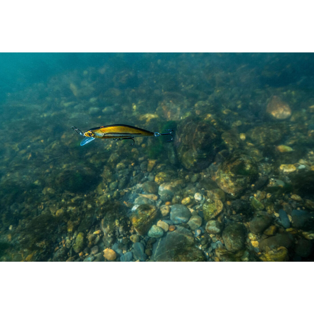 POISSON NAGEUR TRUITE MINNOW WXM MNWFS 70 US BROWN YAMAME