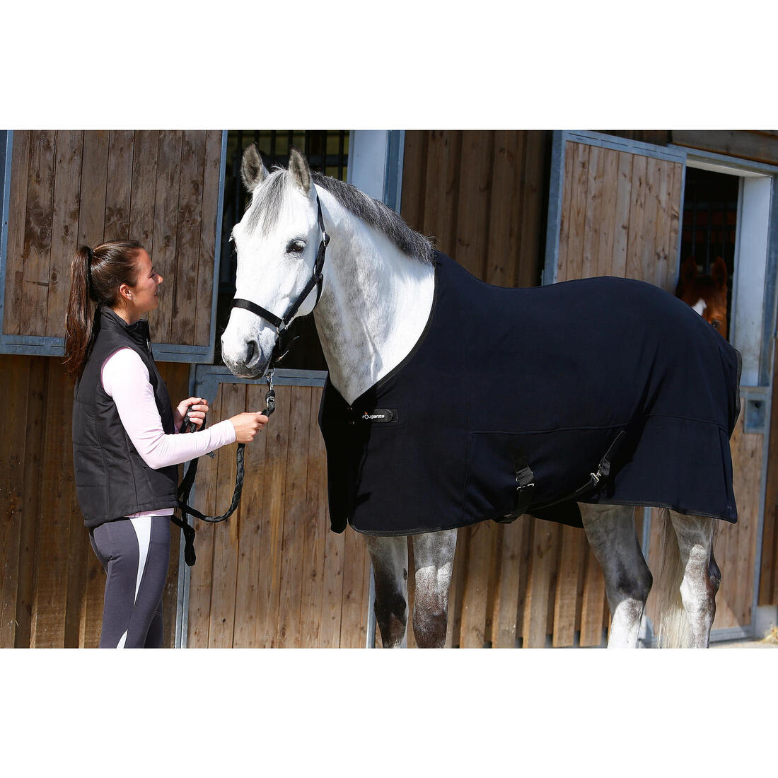 Licol équitation cheval et poney SCHOOLING