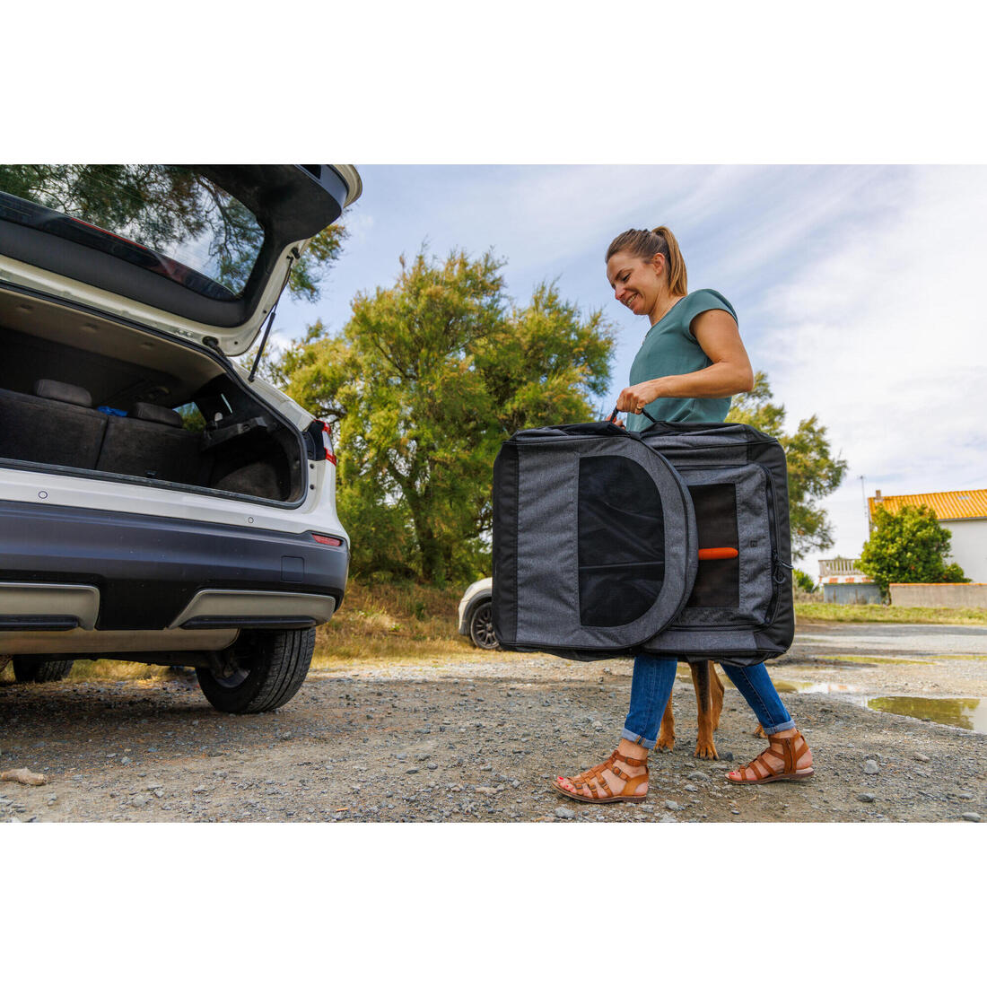 Caisse de transport pliable pour 1 chien grise