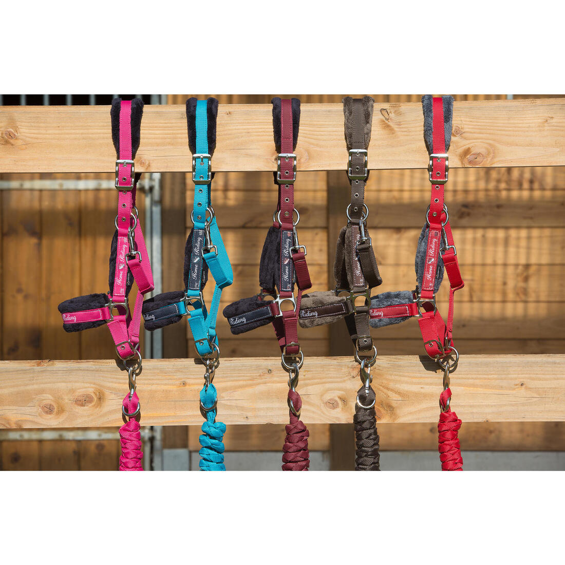Pack licol + longe équitation cheval et poney WINNER