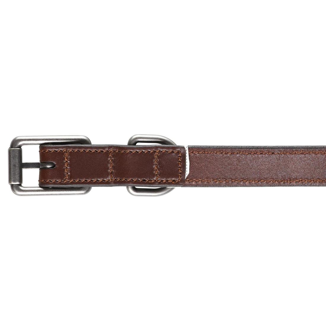 Laisse chien  cuir 900