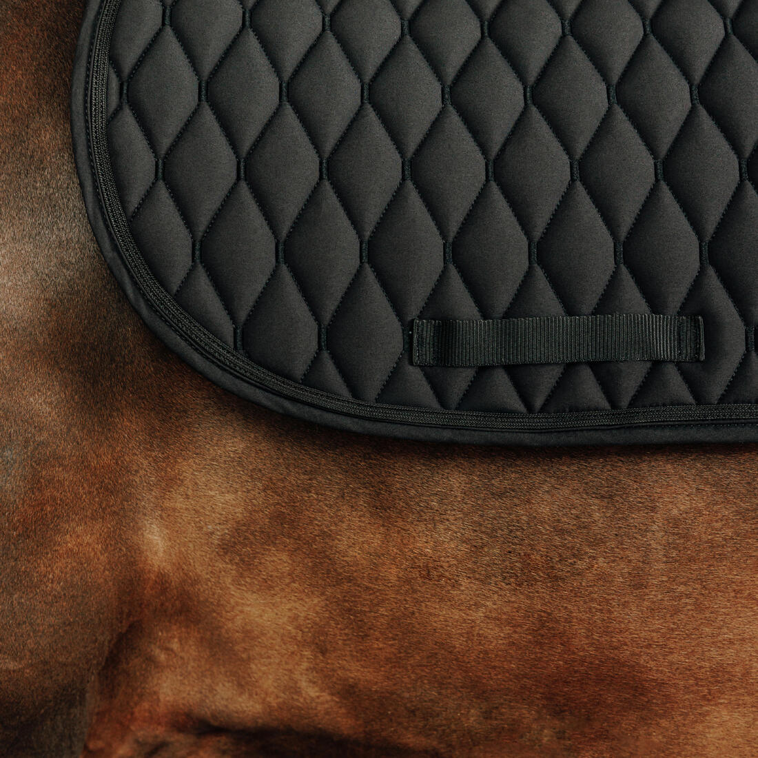Tapis de selle équitation strass Cheval et Poney - 500