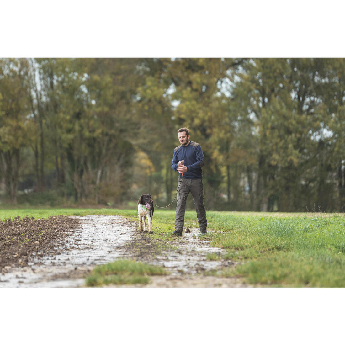 Laisse lasso chien verte 100