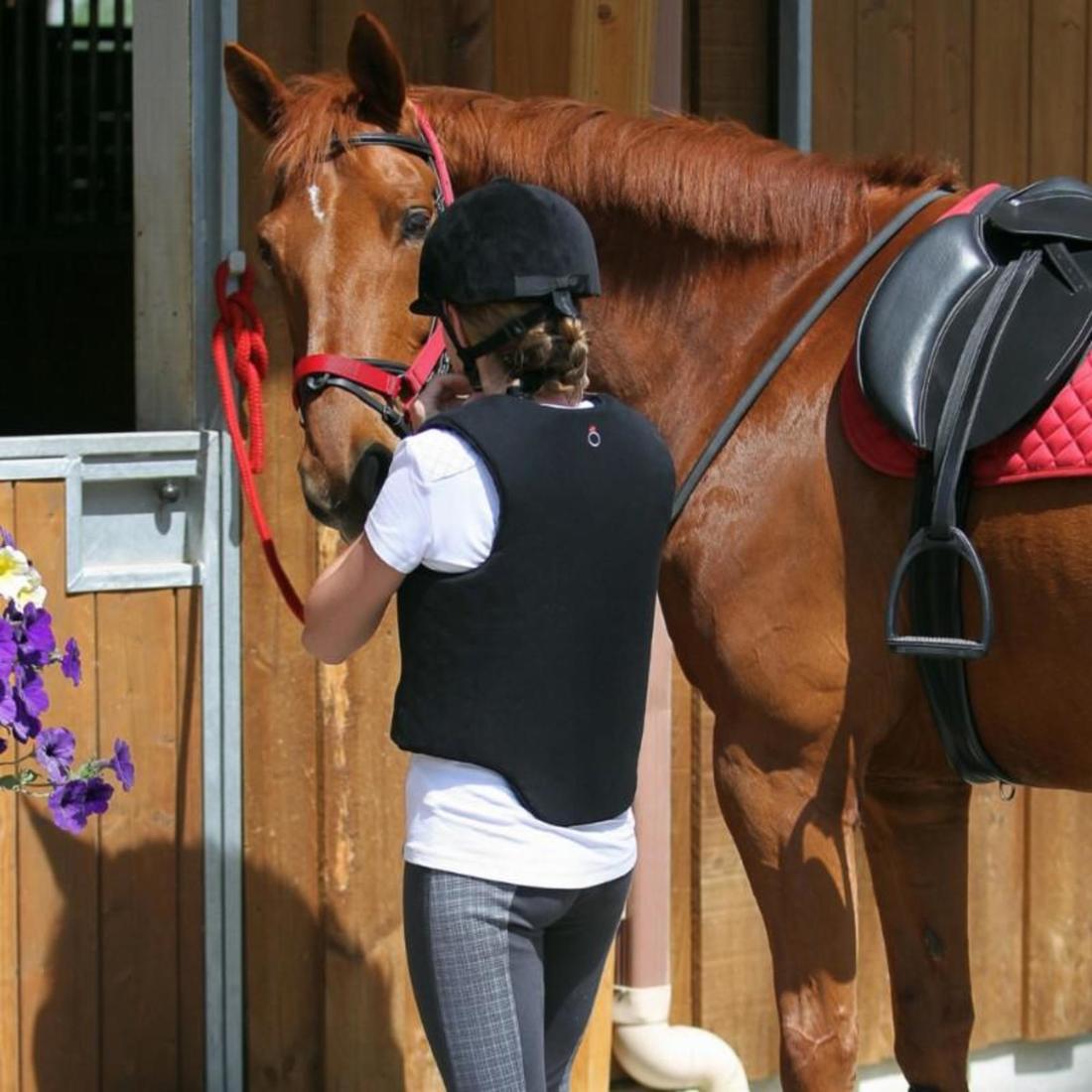 Licol équitation cheval et poney SCHOOLING