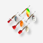 multicolore