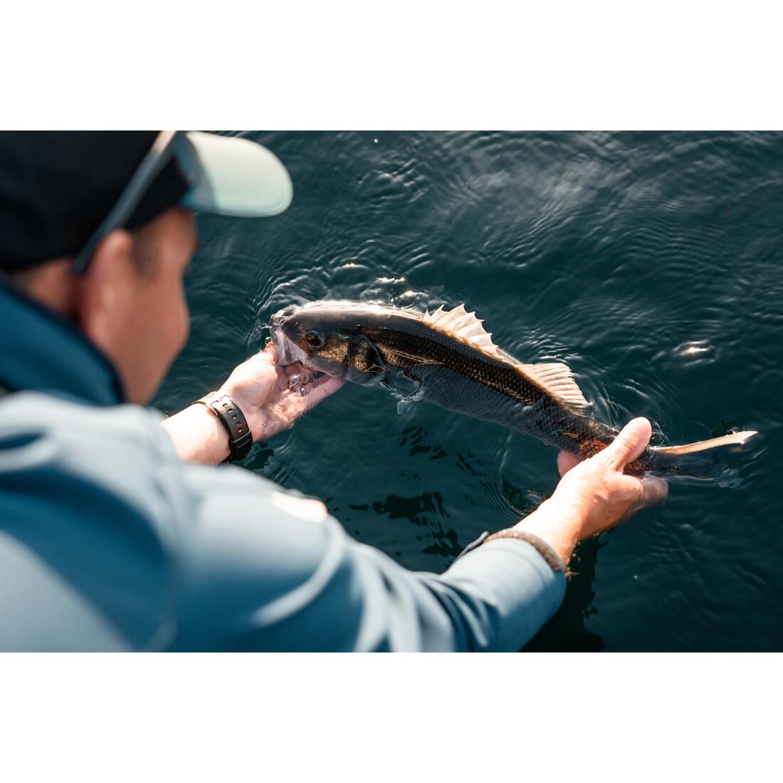 Kit leurres souples shad texan anchois ancho 120 12gr ayu en mer