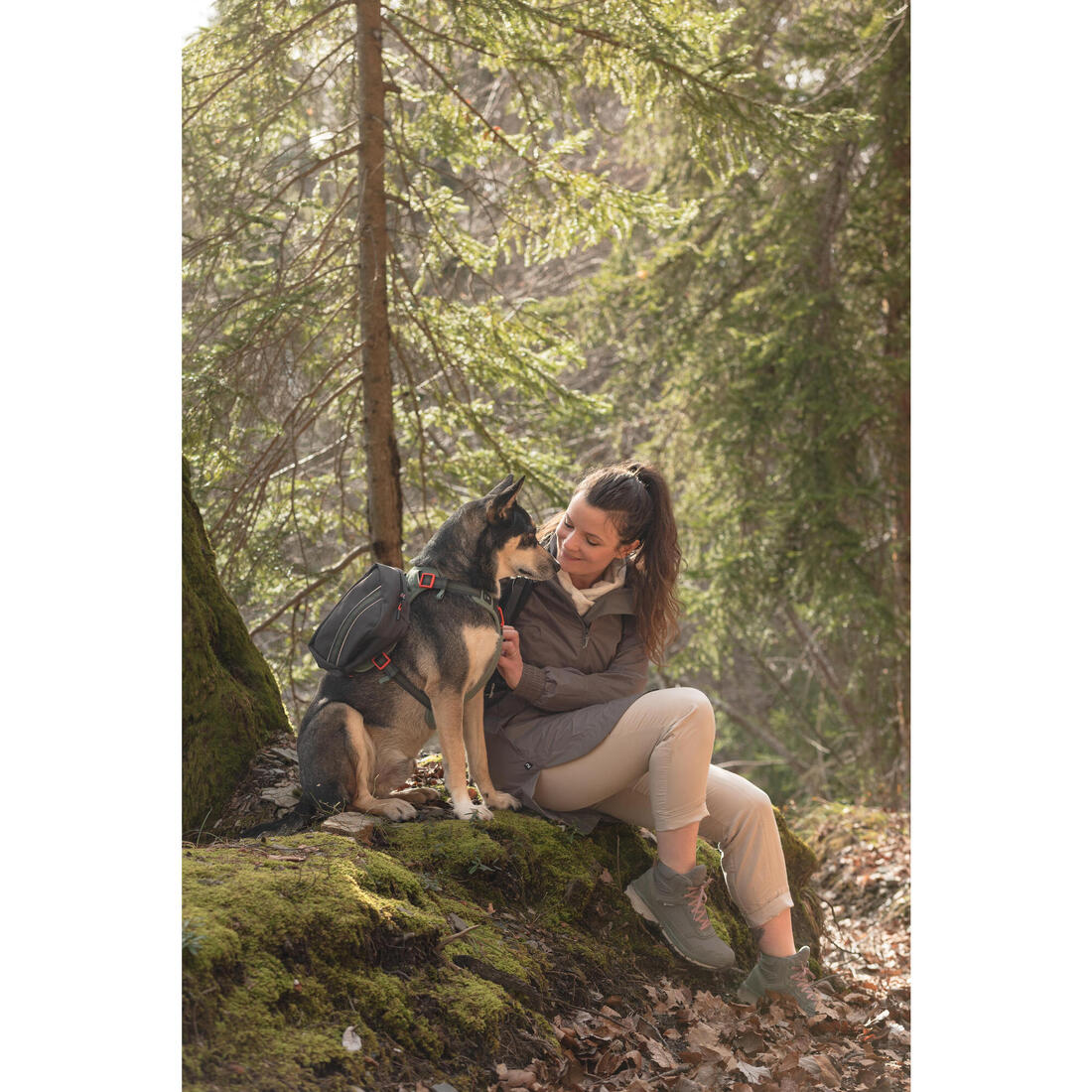 Harnais de randonnée avec sac à dos pour chien