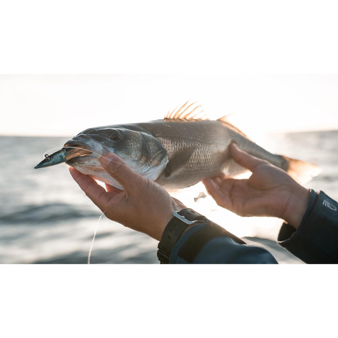 COMBO leurres souples shad lançon EELO 150 18gr FLASHY