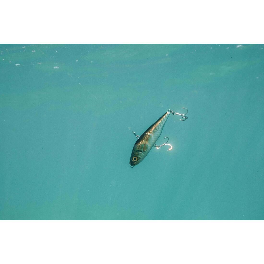 Poisson nageur AJIVIB 100 US au leurre en mer