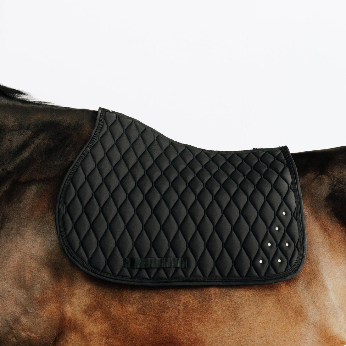 Tapis de selle équitation strass Cheval et Poney - 500