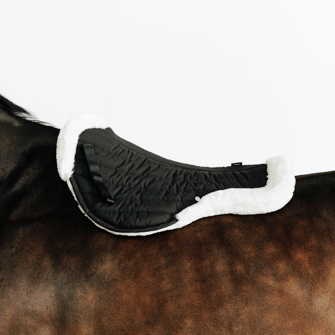 Amortisseur cheval mouton noir 900