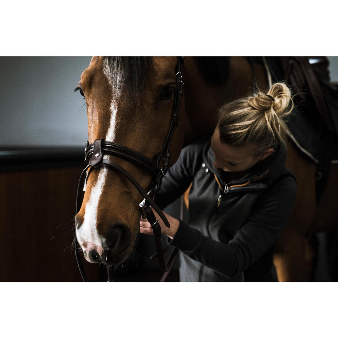Filet équitation cuir muserolle française glossy Cheval et Poney - 580