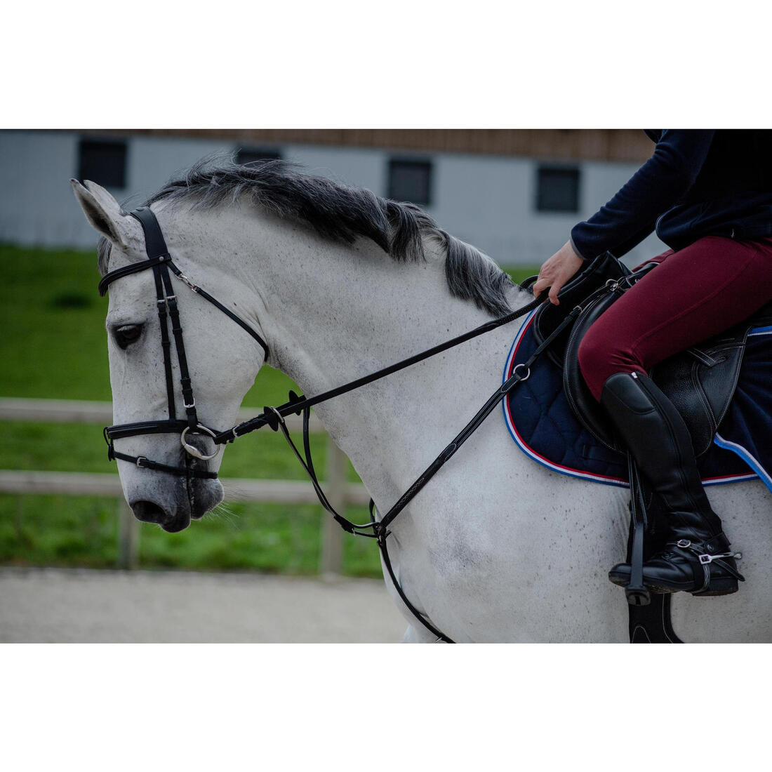 Mini-chaps équitation synthétique Adulte - 500 noires