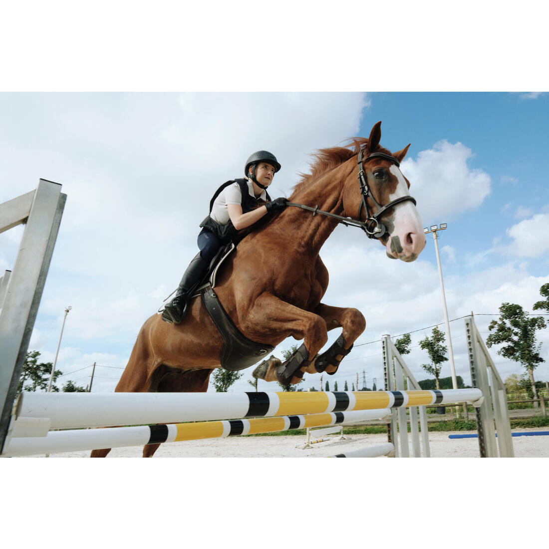 Filet équitation cuir muserolle française Cheval et Poney - 900