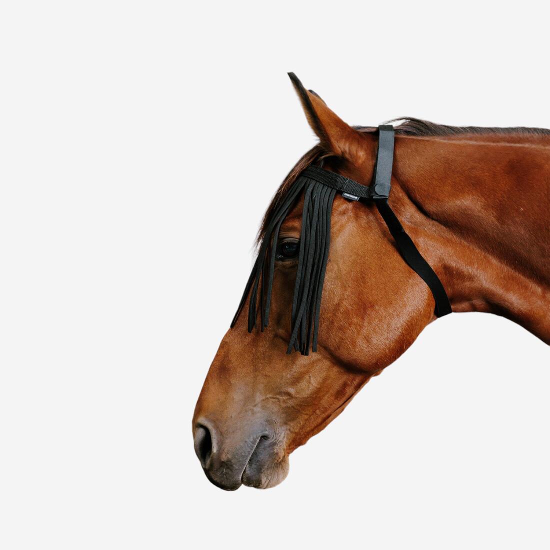 Frontal anti-mouche de pré équitation Cheval et Poney - noir