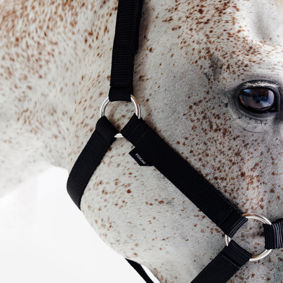 Licol équitation nubuck cheval
