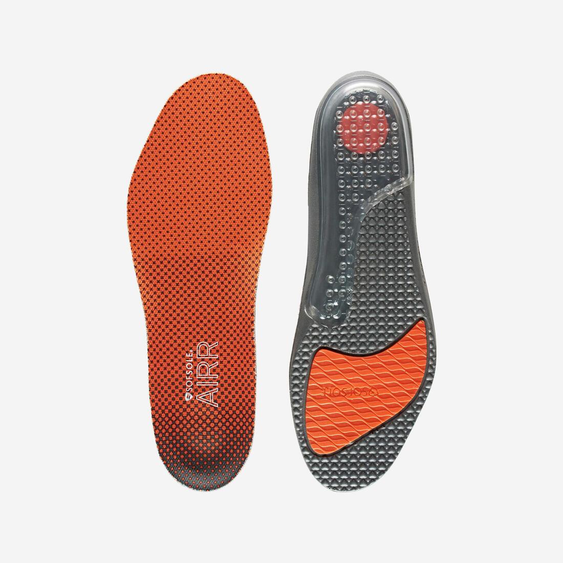 IMG_1008564160_1