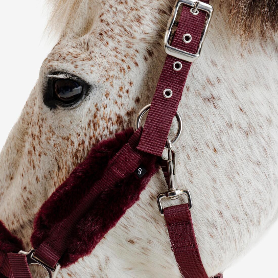 Licol équitation Poney - Confort Bleu noir / Rose cardinal