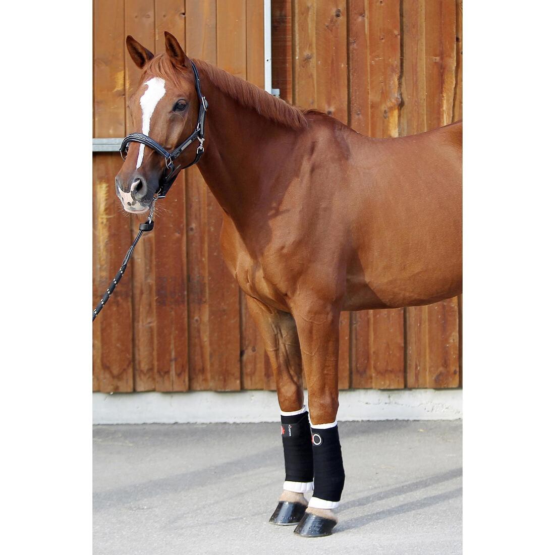 Lot de 2 petites flanelles équitation cheval et poney blanc