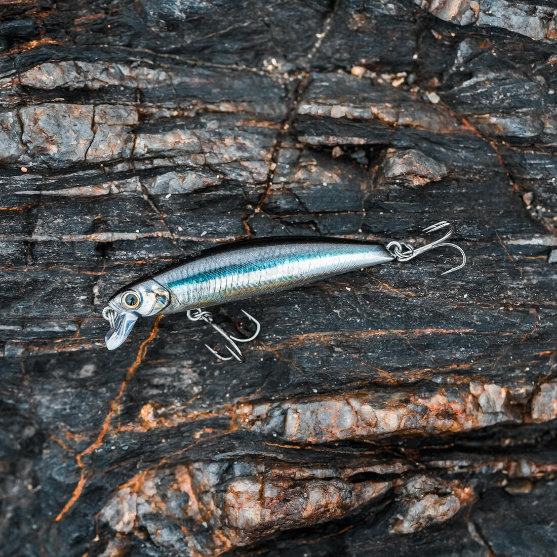 Poisson nageur SAXTON 75 US ANCHOIS au leurre en mer