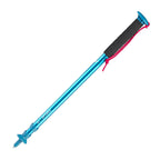 bleu fonce