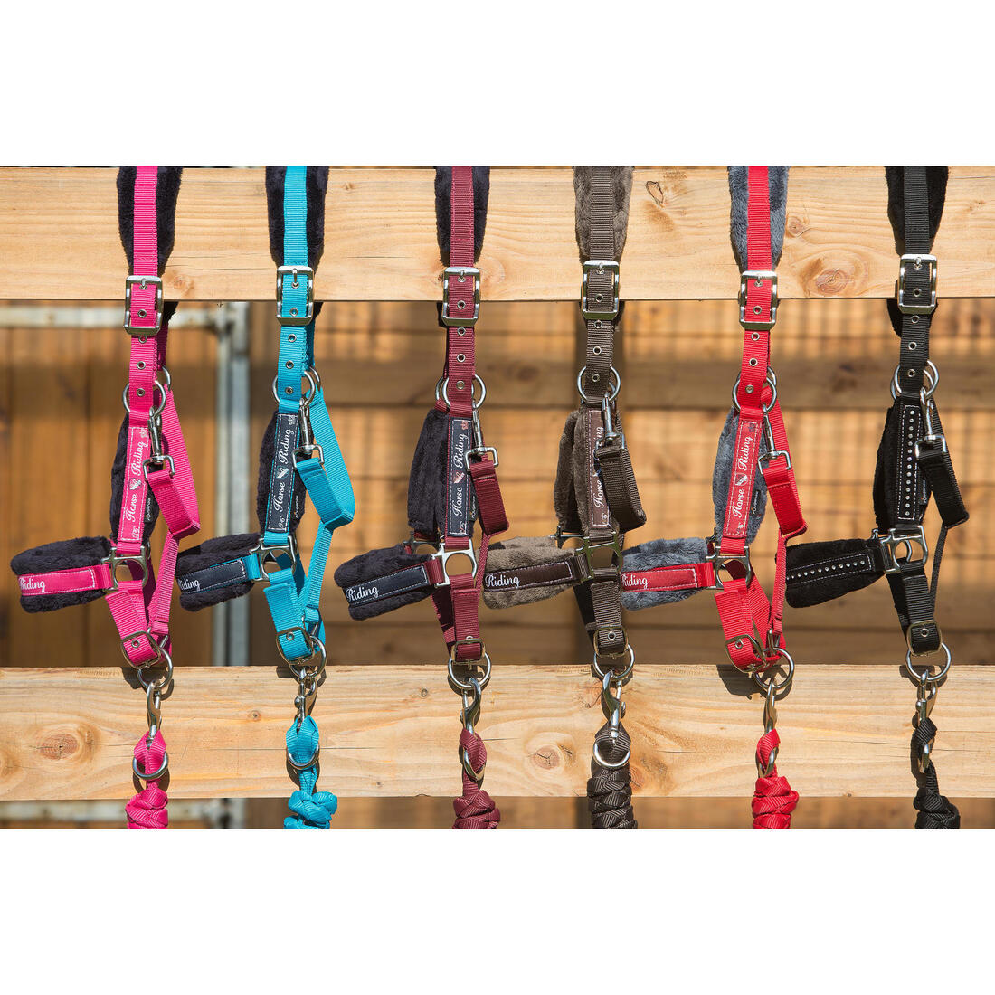 Pack licol + longe équitation cheval et poney WINNER