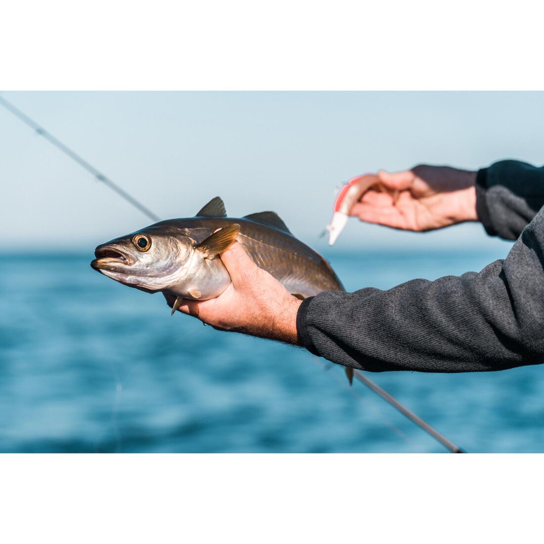 COMBO leurres souples shad lançon EELO 200 48gr FLUO
