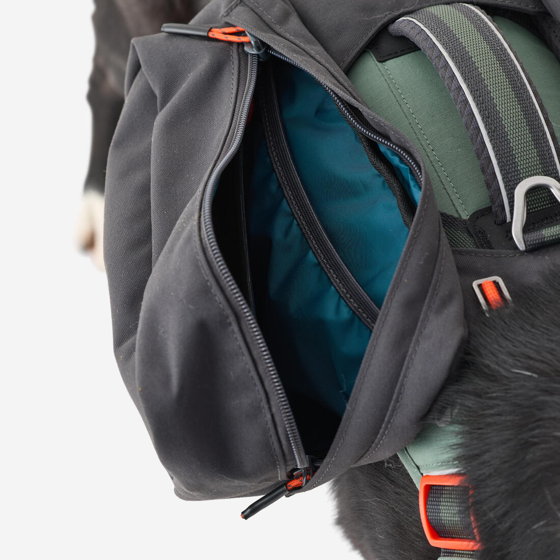 Harnais de randonnée avec sac à dos pour chien