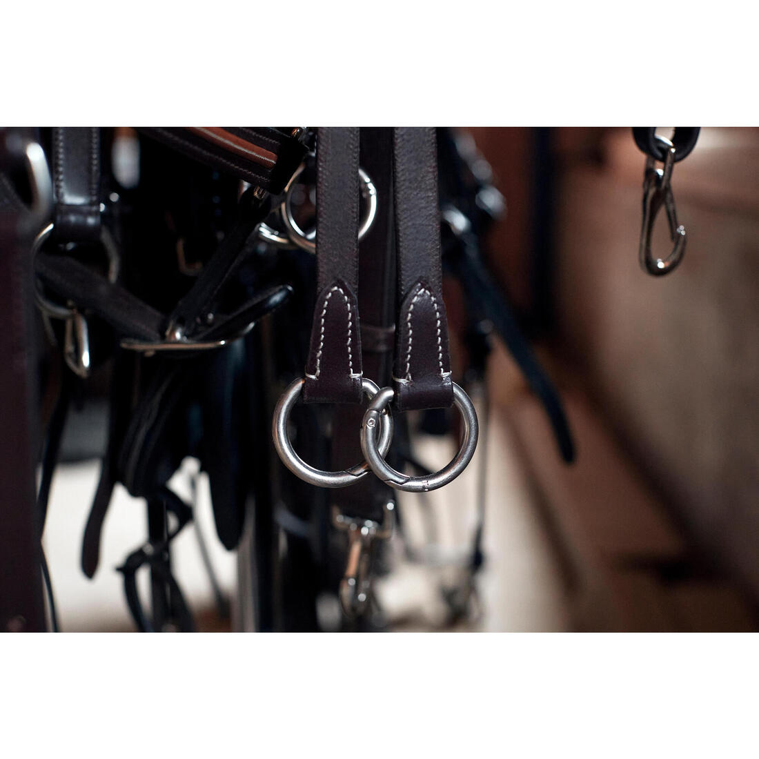 Martingale élastiquée Cheval et Poney - marron foncé