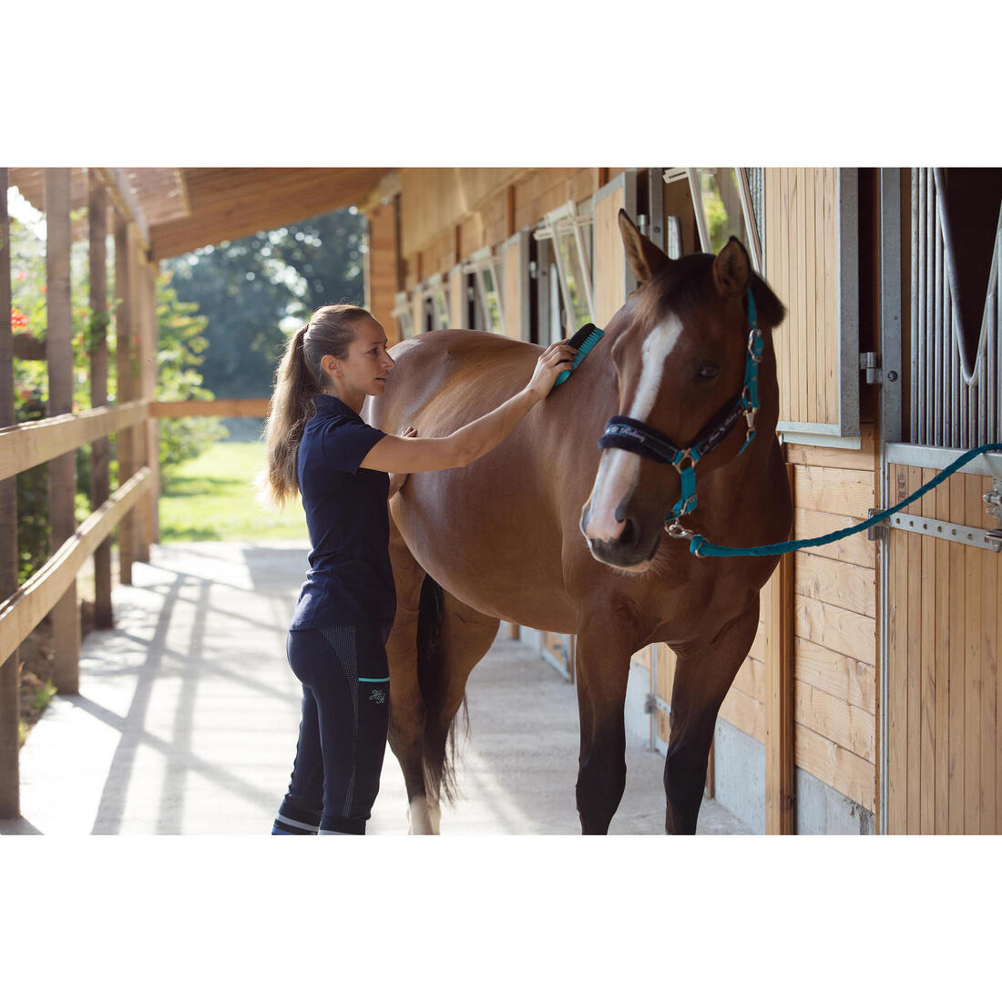 Pack licol + longe équitation cheval et poney WINNER