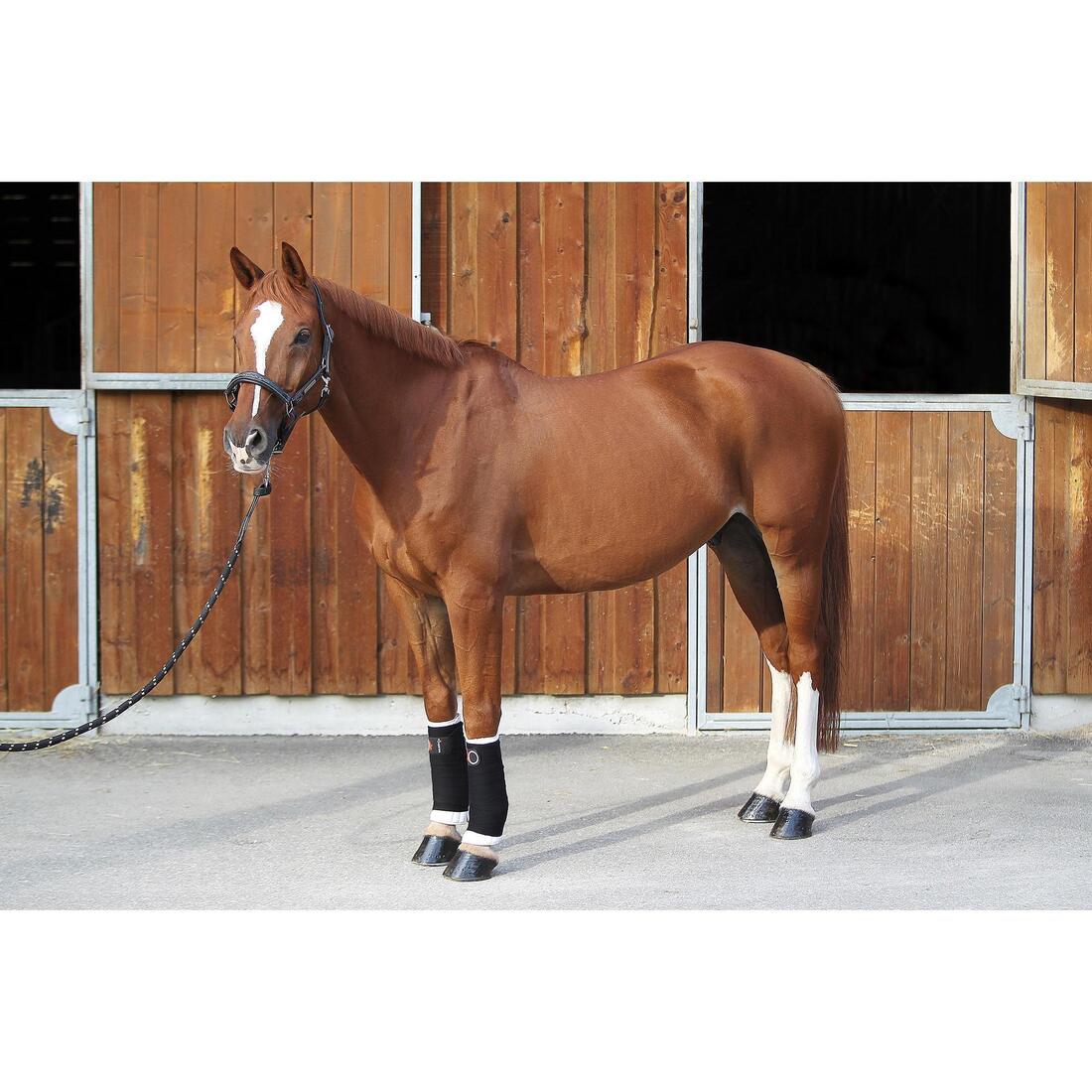 Lot de 2 petites flanelles équitation cheval et poney blanc