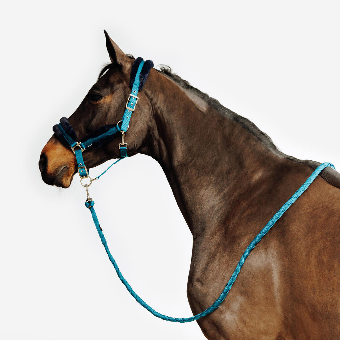 Kit licol et longe équitation Cheval et Poney - Confort rose et
