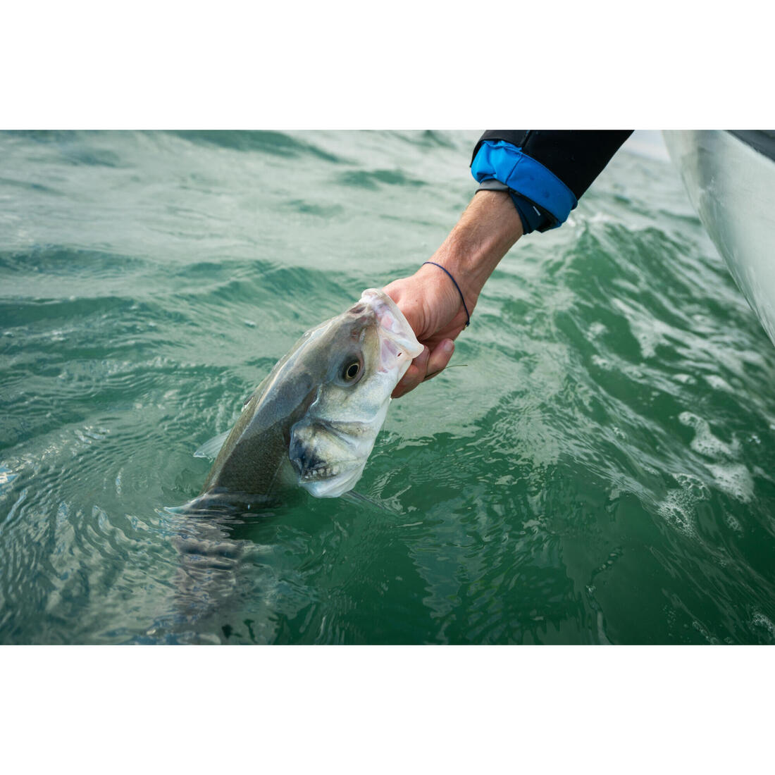 COMBO leurres souples shad lançon EELO 110 8gr AYU