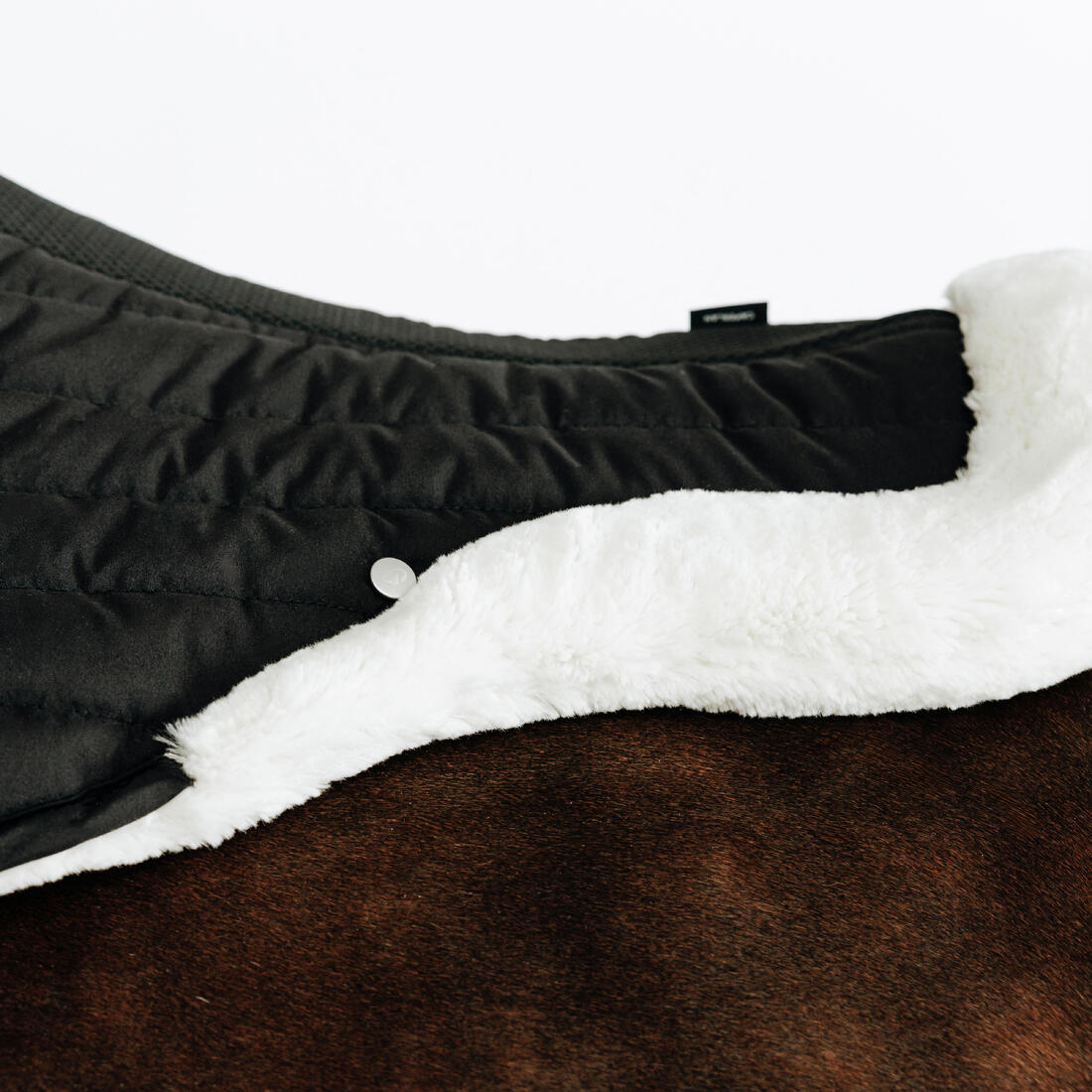 Amortisseur cheval mouton noir 900